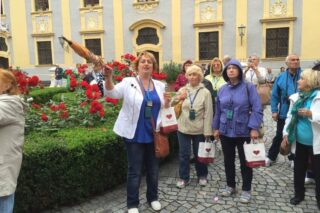 Гид по Вене и Австрии Любовь Джуринская с туристами